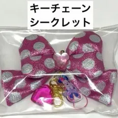 キーチェーン　2026 シークレット　新品　ミニー ディズニー パルパルーザ　☆