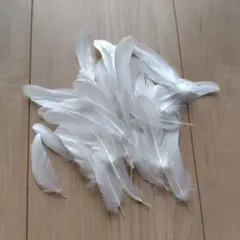 Item thumbnail for item 2716b9f9-9211-400b-90d6-724633eddcf5