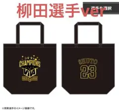 Item thumbnail for item de8086a5-2156-4d77-8241-ffc11b8a1ea4