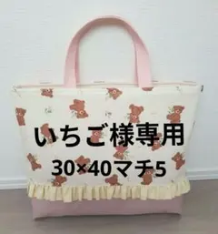 レッスンバッグのサムネイル