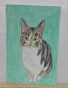 色鉛筆画(13.5×19cm)「…スヤスヤ…Zzz …Zzz♪」猫・子猫♡ - メルカリ