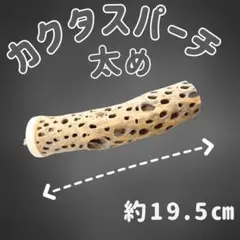 ちゃとらん　止まり木　カクタス　スケルトン　パーチ 鳥用品 止まり木 カクタス スケルトン パーチ 中太No.134 - メルカリ