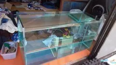 2026年最新】ADAキューブガーデンの人気アイテム - メルカリ