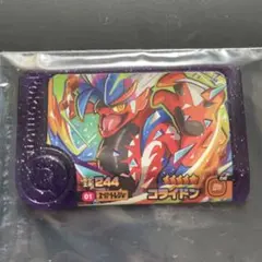 ポケモン　フレンダ　スーパートレジャー　コライドン