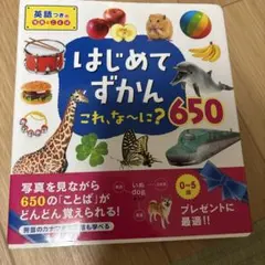 はじめてずかん これ、な～に?650 写真で言葉がぐんぐんわかる! 英語つきの…