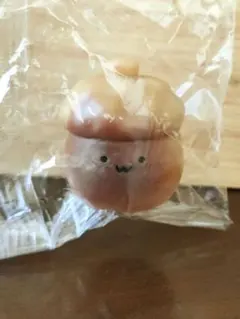 2026年最新】ドングリの人気アイテム - メルカリ