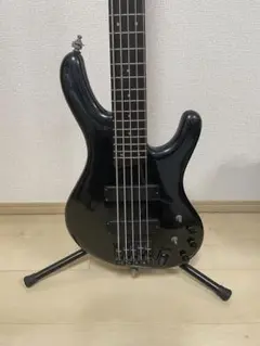 2025年最新】ibanez EDBの人気アイテム - メルカリ