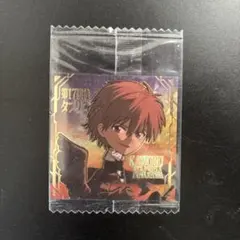エヴァンゲリオンウエハース シークレット 渚カヲル