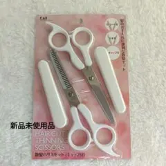 Item thumbnail for item 3690442a-4a4b-4d84-be8a-220540919f83