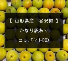 【 谷沢梅 】　かなり訳あり　コンパクト ①のサムネイル