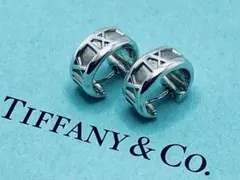 フープピアス ピアス(両耳用)