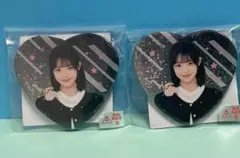 ナンバーワン戦隊ゴジュウジャー TOSくじ FLT 缶バッジ 一河角乃
