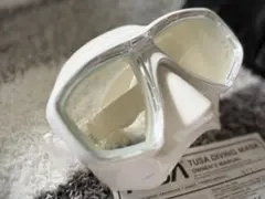 Item thumbnail for item a11eea3a-ea1b-4332-9e9e-6b7e75be577b