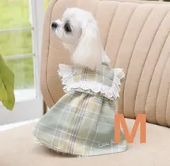 LAURA ASHLEY 犬服 ワンピース Mのサムネイル