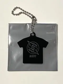 2025年最新】国内アーティスト：GLAY キーホルダーの人気