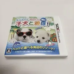 任天堂3DS ゲームソフト オシャレでかわいい 海編 子犬と遊ぼ！