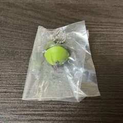 【匿名配送】ころころ愉快な仲間たち　アボカド