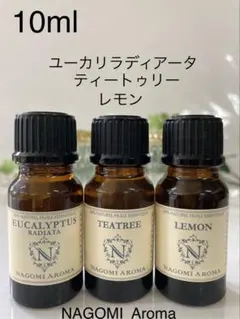 ☘️ユーカリラディアーター&ティートゥリー ＆レモン お部屋の空気清浄・感染対策のサムネイル