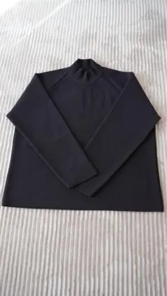 OVERSIZED GRADATION PLEATS LSのサムネイル