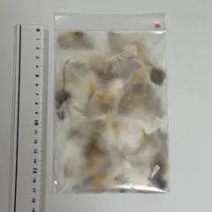(赤) ふくろう　羽根