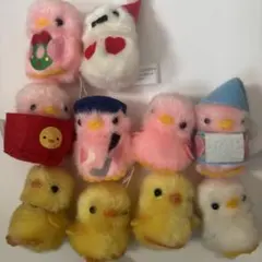 ひよこのおかげ ぴよりーな 10体セット