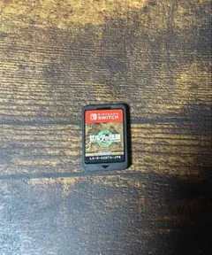 ゼルダの伝説 ティアーズ オブ ザ キングダム