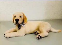 リアル可愛い羊毛フェルト犬、猫、うさぎ人形オーダー受付中