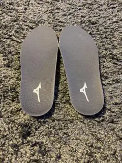 MIZUNO 安全靴インソール 中敷き 左右セット