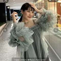 andresd チュールトップス　グリーン
