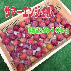 s99山梨県産 サマーエンジェル 赤い すもも 箱込み10kg プラム 訳あり