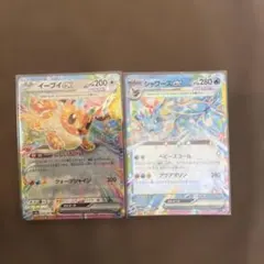 イーブイex シャワーズex RR テラスタルフェス