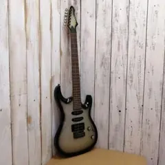 Aria Pro II MAGNA S-S-H 24F コイルタップスイッチ付 - メルカリ