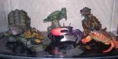 いきもの大図鑑　水生生物フィギュアセット