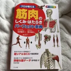 Item thumbnail for item ab05a158-5580-4782-bf0d-f14b2d42b947