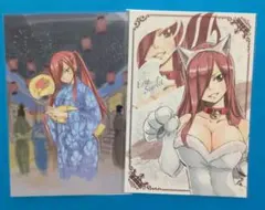 フェアリーテイル エルザ ポストカード 特典 アニメガ×ソフマップ フェアリーテイル エルザ ポストカード 特典 アニメガ×ソフマップ