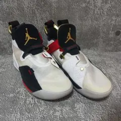NIKE AIRJORDAN 33 FUTURE FLIGHT　　28cm