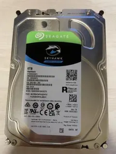 Seagate Skyhawk 6TB 内蔵型HDD