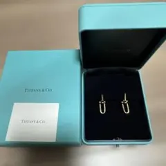 登坂広臣着用 Tiffany & Co. タイタン 新作 ピアス - メルカリ