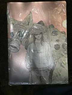 2025年最新】米津玄師 STRAY SHEEP クリアファイルの人気アイテム