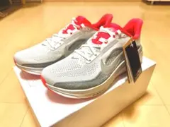 Nike Air Zoom ペガサス42
