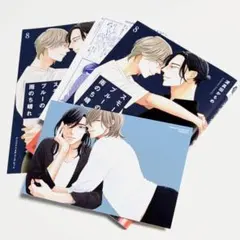 スモークブルーの雨のち晴れ8　波真田かもめ　アニメイト