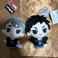 2026年最新】澤村大地の人気アイテム - メルカリ