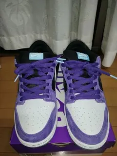 Hayley Wilson × Nike SB Dunk Low Pro