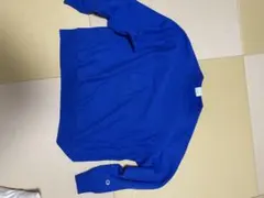 Champion REVERSE WEAVE スウェット 青