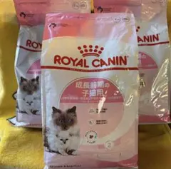 ROYAL CANIN 子猫用成長後期ドライフード 10kg - メルカリ