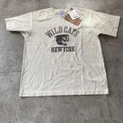 Arpege story ヴィンテージWILD CATS Tシャツ ピンク - メルカリ