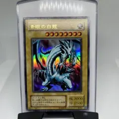 青眼の白龍　スタジオダイス