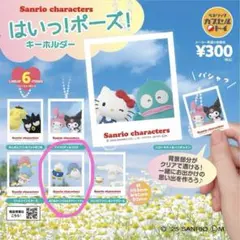 サンリオ　はいっ！ポーズ！キーボルダー　ガチャガチャ