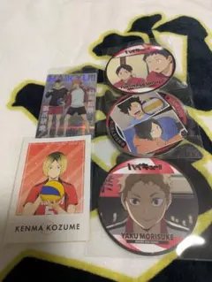 ハイキュー!!音駒高校9点セット