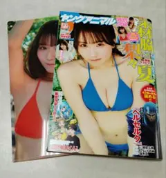 ヤングアニマル 2025年 No.18 森脇梨々夏　最新号